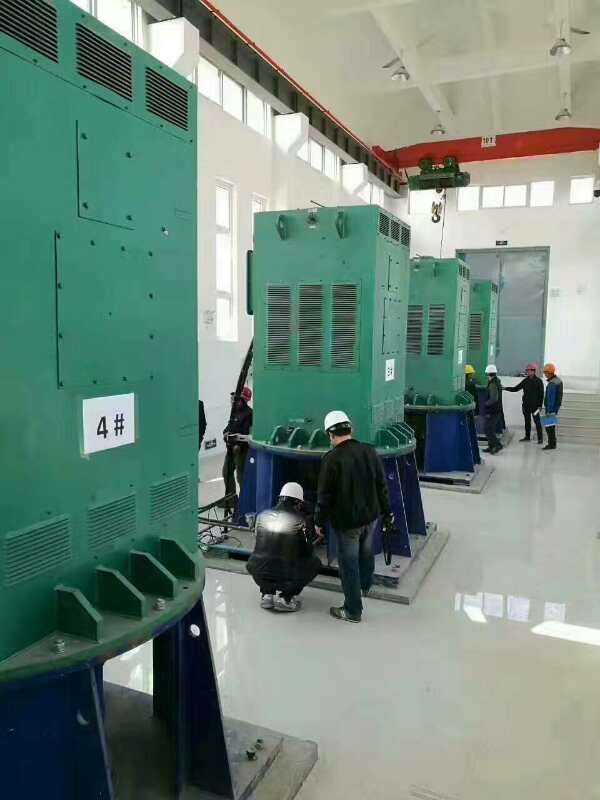 YKS4002-2某污水处理厂使用我厂的立式高压电机安装现场